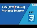CSS attr value Selector
