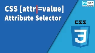 CSS attr value Selector