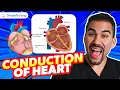 Conduction of the Heart Cardiac Knowledge for Nursing Students
