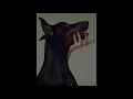 ZHU- Only ft. Tinashe