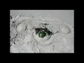 Raffi-Down by the Bay.flv
