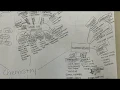 chemistry concept map