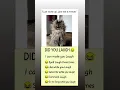 Download Lagu #nirvana #grunge #music #cat #daliymemes #funnypictures #funny #memeclip #funnymemes #memehub