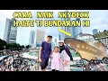 Download Lagu CARA NAIK SKYDECK HALTE BUNDARAN HI