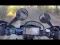DRZ Crash on Ocala s Wandering Wiregrass Trail