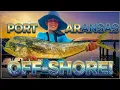 Deep Sea Fishing Mahi and Red Snapper Fishing Texas Gulf Coast Fisherman s Wharf