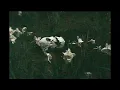 Movements - "Where I Lay" (Official Lyric Video)