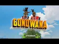 Download Lagu GONDWANA - Dj Chandan Raipur (Original Mix) Awsmbros