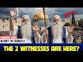 Download Lagu World Alert! These Are the Two Witnesses of the Apocalypse