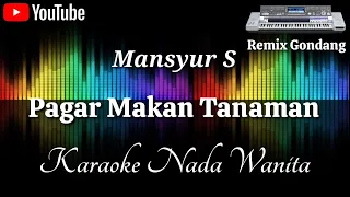 Download Mansyur S - Pagar Makan Tanaman Remix Gondang [Karaoke] Nada Wanita - MP3