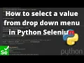 How to select a value from drop down menu in Python Selenium