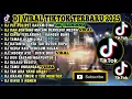 DJ VIRAL TIKTOK TERBARU 2025 | PET POLIPET GARAM CINA | DAN BINTANG MALAM BERKEDIP MESRA FULL ALBUM
