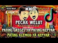 Download Lagu Sound Viral - Wa Kancil koslet ( Pecak Welut )  Fyp Tiktok