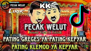Download Sound Viral - Wa Kancil koslet ( Pecak Welut )  Fyp Tiktok MP3