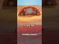 Should You Pop Your Blisters Surgeon Reacts