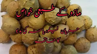            مازو کے طبعی خواص اور استمال   جریان لیکوریا کا مکمل علاج دندنها