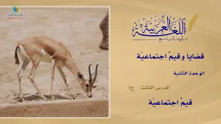 13 قيم اجتماعية عربي9 