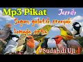 Download Lagu Suara pikat burung sogon, gelatik, kemade, prenjak ,sirtu❗#terbuktiampuh