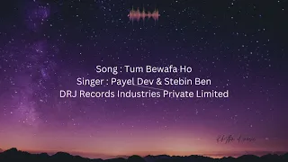 Download Tum Bewafa Ho // Lyrical video // MP3