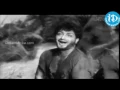 Download Lagu Amma  ani  arachina