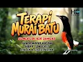 Download Lagu TERAPI MURAI BATU MACET BUNYI | TERAPI SUARA AIR SUNGAI DAN SUARA BURUNG DI HUTAN