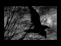 Download Lagu Fljúga Hrafna - Elisiv (Ancient Norse Inspired Viking Music)