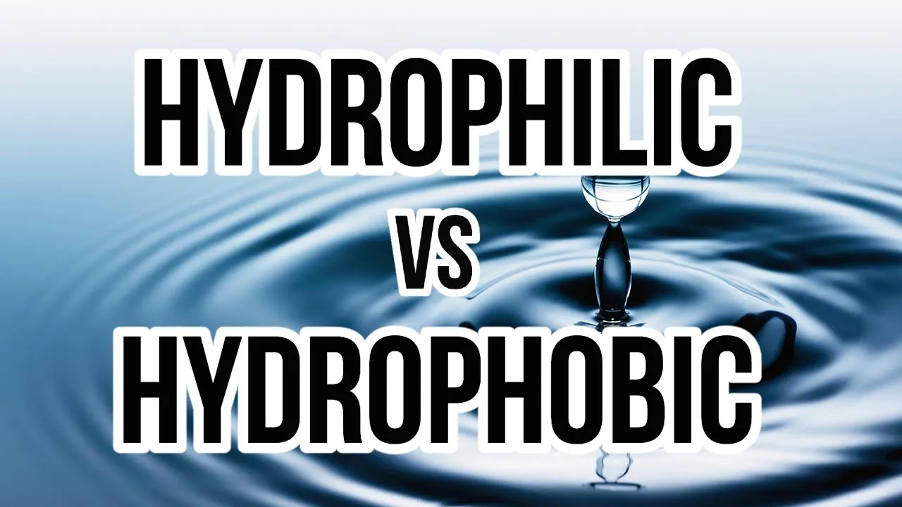 Hydrophilic vs Hydrophobic