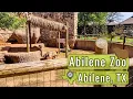Exploring the Abilene Zoo in Texas