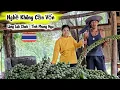 Download Lagu #10 Cả Làng Sống Nhờ Cây Rừng Này, 30 Năm Cho Trái Một Lần - Nisa Người Thái