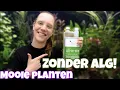 Lagu Planten groeien NIET? De BESTE PLANTENVOEDING! Plantengroei BEGRIJPEN //Nickey//