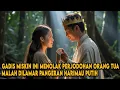 Download Lagu TOLAK PERJODOHAN ORANG TUA, GADIS MISKIN MALAH DINIKAHI PANGERAN HARIMAU PUTIH YANG MERUBAH NASIBNYA