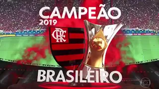 flamengo campe o brasileiro 2019