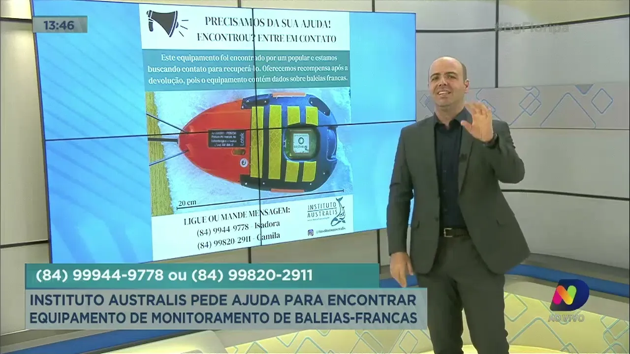 Instituto Australis quer encontrar equipamento que ajuda a monitorar baleias-francas