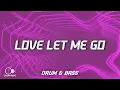 Download Lagu Said The Sky \u0026 Dia Frampton - Love Let Me Go (Lyrics)
