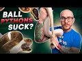 DO NOT Get A Pet Ball Python Until You Watch This