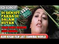 Petualangan horror di dalam hutan Alur cerita film - Last cannibal world