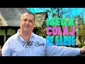 Download Lagu NELUTA BUCUR . ❌Mega colaj de sarbe❌ | SUPER-LIVE |