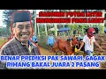 Download Lagu BENAR PREDIKSI PAK SAWARI, MACAN MADURA BAKALAN TEMBUS DAN GAGAK RIMANG JUARA DUA PASANG 🔥🔥