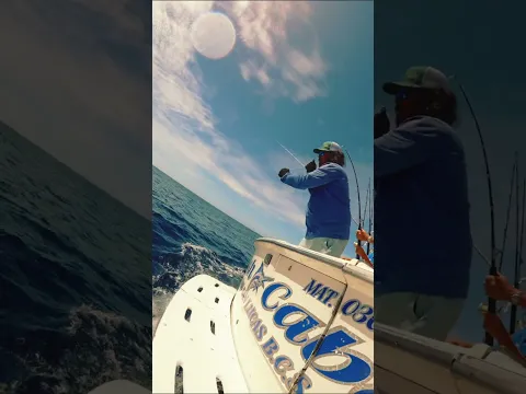 Visit our website were you can find fishing charters like this one all over the world!🌐🚤🎣
