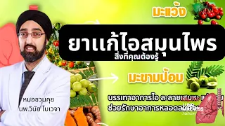 ทำไมยาสมุนไพรไทยอย่างมะแว้งและมะขามป้อมจึงถือเป็นทางเลือกที่ปลอดภัยสำหรับการรักษาอาการไอเบื้องต้น