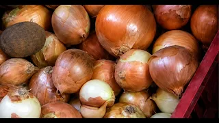 Comerciantes cuestionan restricciones para vender papa y cebolla