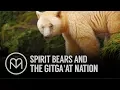 Rainforest Guardians Spirit Bears and the Gitga at Nation