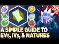 A Simple Guide to EVs IVs Natures More in Pokemon Scarlet and Violet