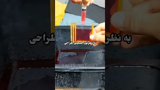 طمع آدمیزاد وظرافت جام عدالت فیثاغورس دانستنی جالب ویدیو Facts فکت جالب عجیب داستان واقعی مشروب 