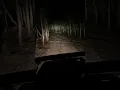 Download Lagu Night safari in tiger territory #tiger #wildlifefilming #wildlifephotography #forest #indianwildlife