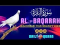 Download Lagu Surah Al Baqarah full ( quick recitation ) by Sheikh Mishary Al Afasy | 17 August 2024 