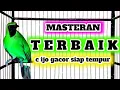 Download Lagu Masteran cucak ijo full isian menaikan emosi dan tembak an panjang bongkar materi