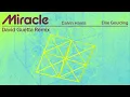 Calvin Harris, Ellie Goulding - Miracle (David Guetta Remix - Official Visualiser)