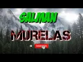 Download Lagu Lagu Gayo murelas