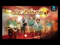 Los Palmeras - perra (audio oficial)